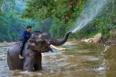 The Land of Smiles - Thailand Photography Tour 1