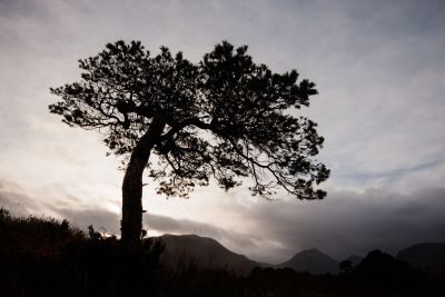 Torridon Photography Tour