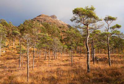 Torridon Photography Holiday