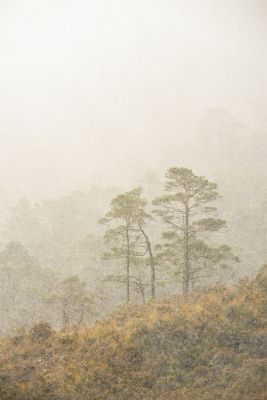 Torridon Photography Tour