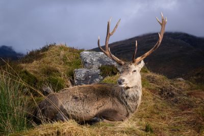 Torridon Photography Holiday