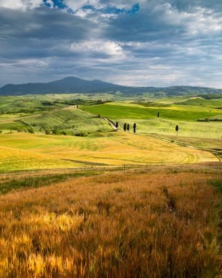 Tuscany Landscape Photography Tour