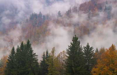 Slovenia Landscape Photography Tour