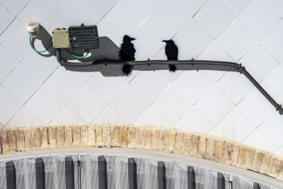 A City of Contrasts - Valencia Photography Tour 1