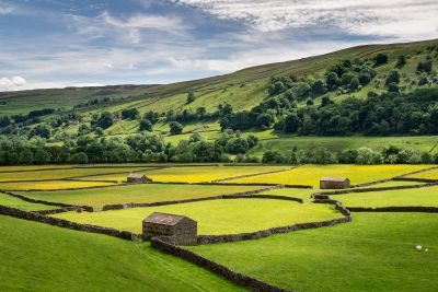 Meadows, Barns and Waterfalls - Yorkshire Dales Photography Tour 1