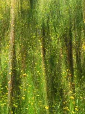 Meadows, Barns and Waterfalls - Yorkshire Dales Photography Tour 1