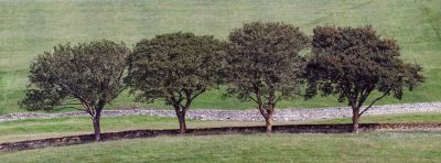 Yorkshire Dales Photography Tour