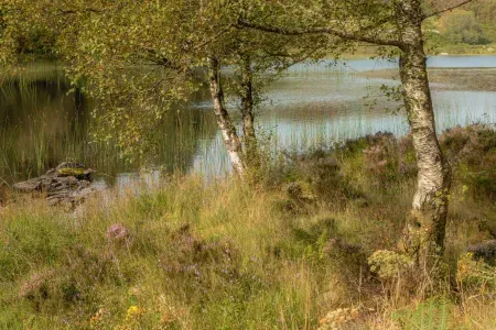 Understanding Light in Landscape Photography Part Two: Direction of Light