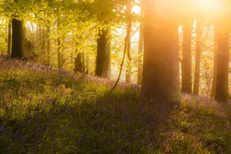 Understanding Light in Landscape Photography Part Three: How to Transform Your Photographs with Light