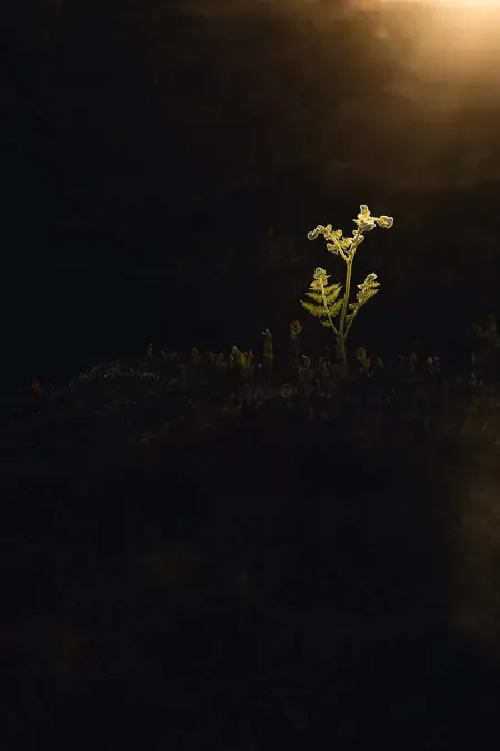 Understanding Light in Landscape Photography Part Three: How to Transform Your Photographs with Light