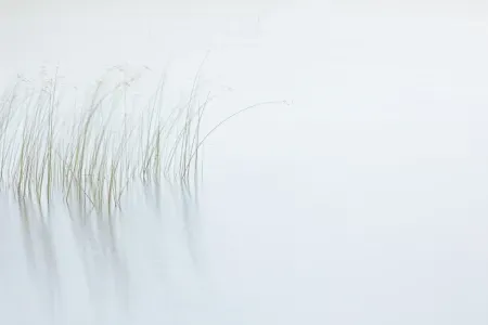 Understanding Light in Landscape Photography Part Three: How to Transform Your Photographs with Light