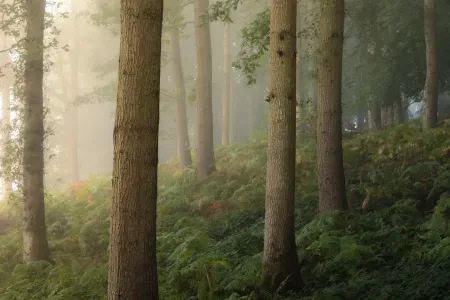 Understanding Light in Landscape Photography Part Two: Direction of Light