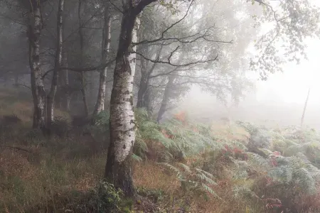 Understanding Light in Landscape Photography Part Two: Direction of Light