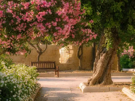 Photography In Malta: Five Amazing Views