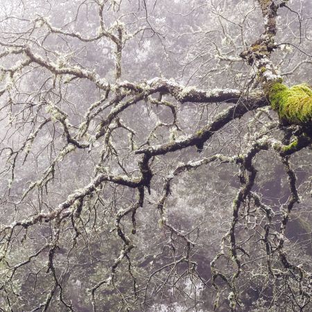 Andalucia Photography Tour