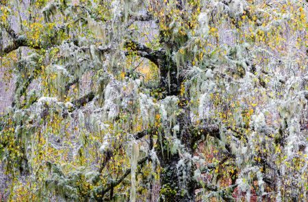 Scottish Highlands Photography Retreat