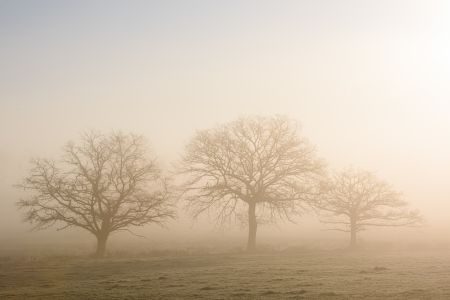 Burgundy Photography Tour