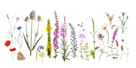 Burgundy Photography Tour