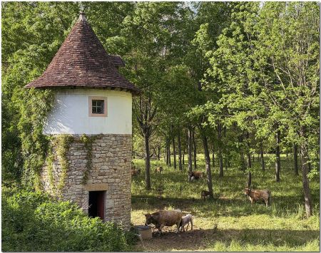 The Timeless Heart of France - The Lot & Dordogne by Howard Somerville