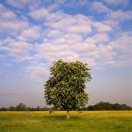 Dorset and Wiltshire Photography Tour