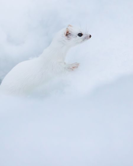 Finland Photography Tour