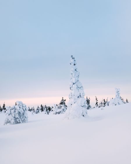 Finland Winter Photography