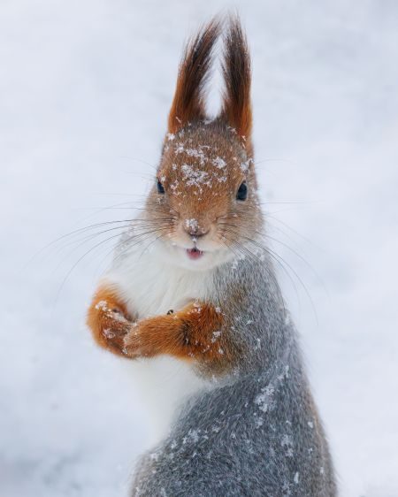 Finland Photography Tour