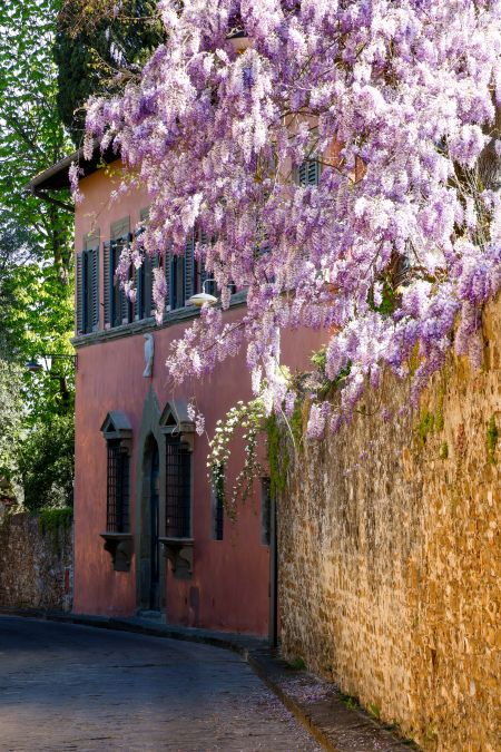 Florence Landscape Photography Tour Florence Landscape Photography Tour
