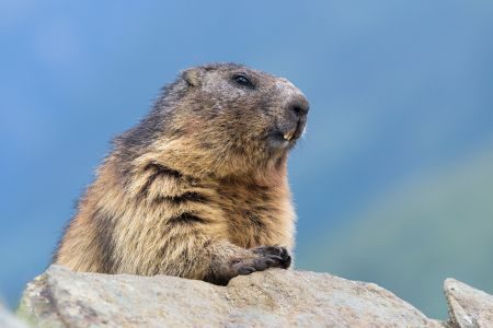 Hohe Tauern - An Alpine Photography Tour