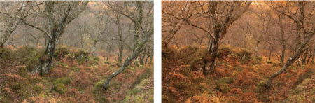 Understanding Light in Landscape Photography Part One: Different Types of Light
