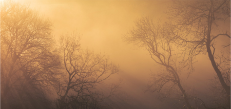 Understanding Light in Landscape Photography Part One: Different Types of Light
