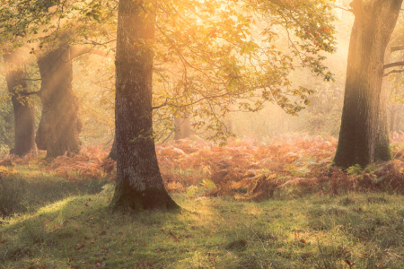 Understanding Light in Landscape Photography Part One: Different Types of Light