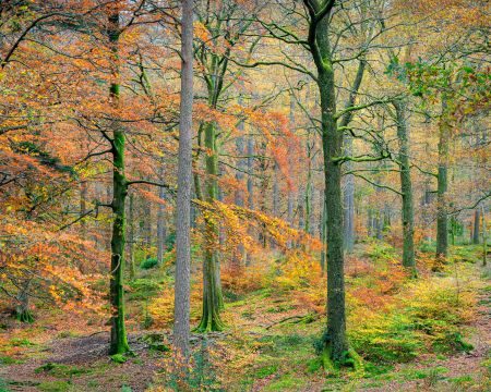 Lake District Photography Tour