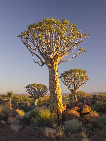 Namibia Landscape Photography Tour