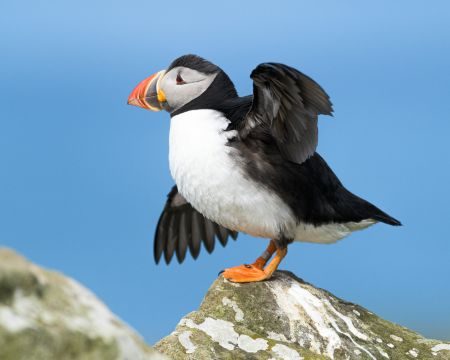 Icebergs, Outports, Barrens and Beaches - Photography Tour of Newfoundland’s Avalon and Bonavista Peninsulas