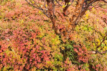 Northern Iceland Landscape Photography