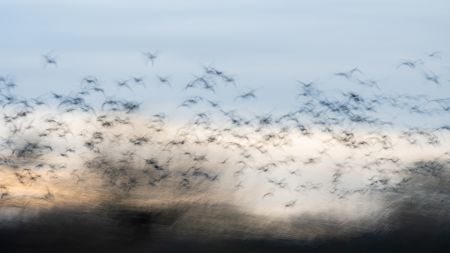 Waves, Wading Birds and Woodland - Norfolk Creative Photography Tour