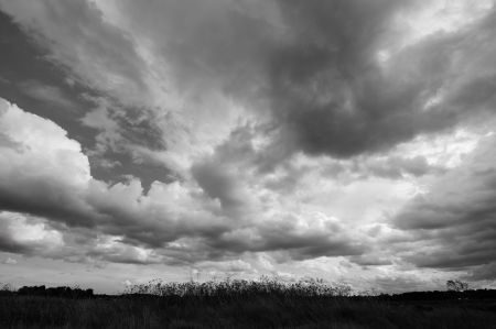 Norfolk Photography Tour