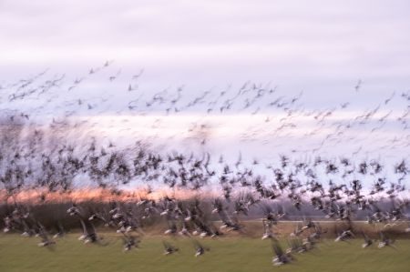 Waves, Wading Birds and Woodland - Norfolk Creative Photography Tour