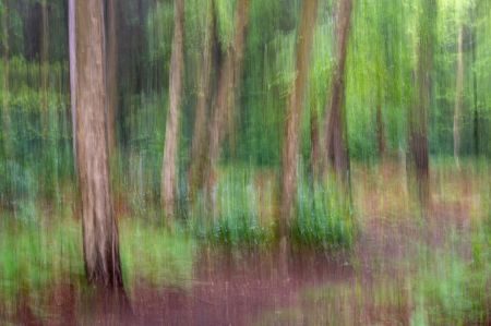 Waves, Wading Birds and Woodland - Norfolk Creative Photography Tour