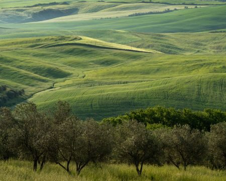 Tuscany Photography Tour