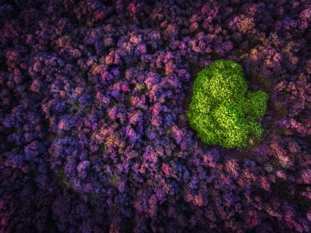 Peak District Photography Tour