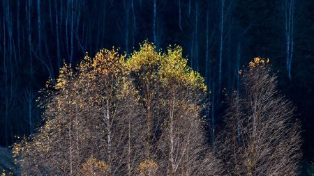 Transylvania Landscape Photography Tour