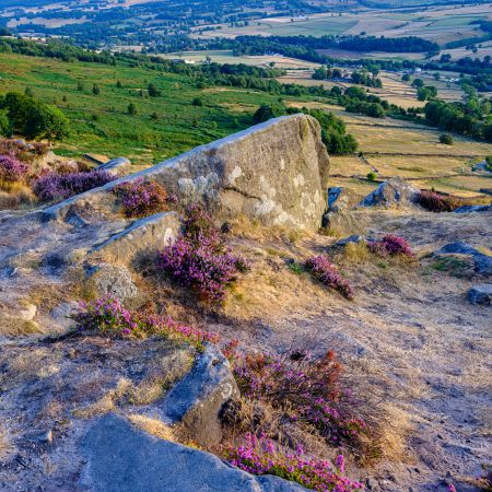Heather In Bloom - Peak District Photography Tour 10th - 13th August 2026 by Rob Whatmough