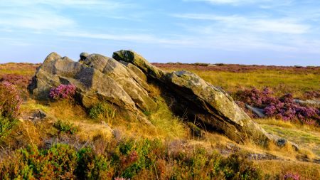 Heather In Bloom - Peak District Photography Tour 10th - 13th August 2026 by Rob Whatmough