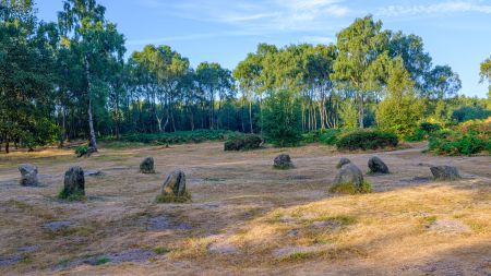 Heather In Bloom - Peak District Photography Tour 10th - 13th August 2026 by Rob Whatmough