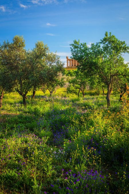 Sicily Landscape Photography Tour