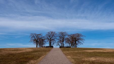 The World’s Smallest Big City - Stockholm Photography Tour