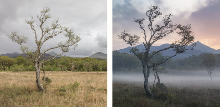 Understanding Light in Landscape Photography Part Three: How to Transform Your Photographs with Light