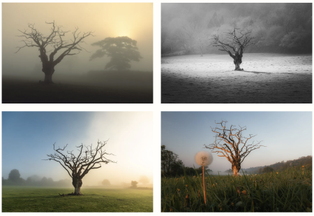 Understanding Light in Landscape Photography Part Three: How to Transform Your Photographs with Light